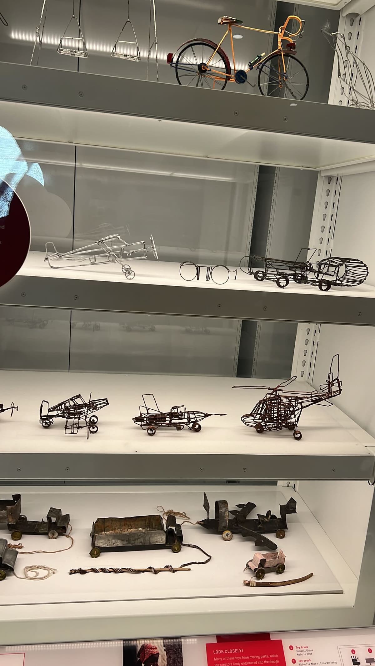 American Museum of Natural History