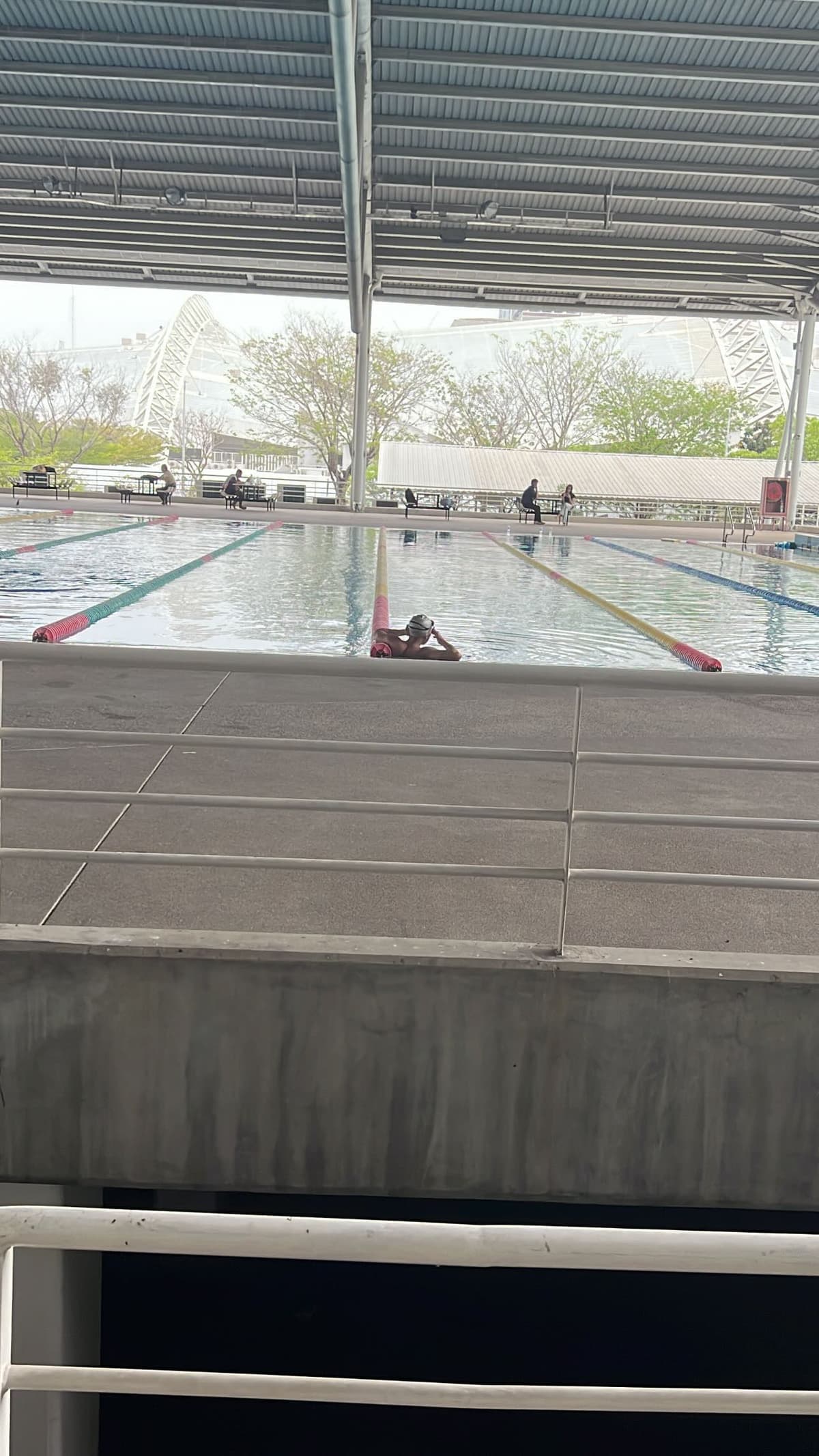 ฝึกว่ายน้ำ